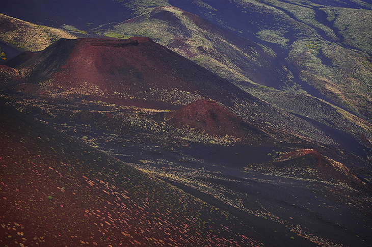 Etna: Vegetazione