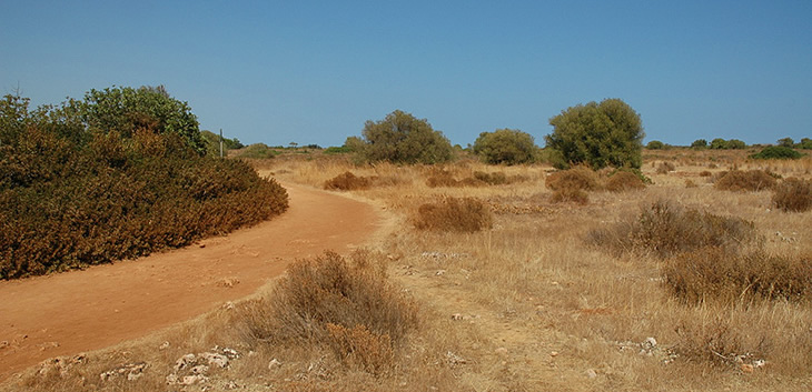 Oasi Faunistica di Vendicari: Riserva Naturale