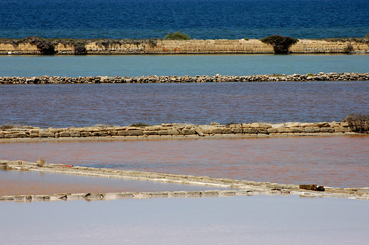 Marsala: Saline