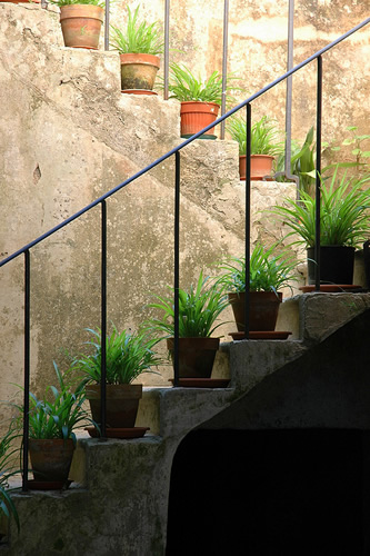 Erice: Cortile