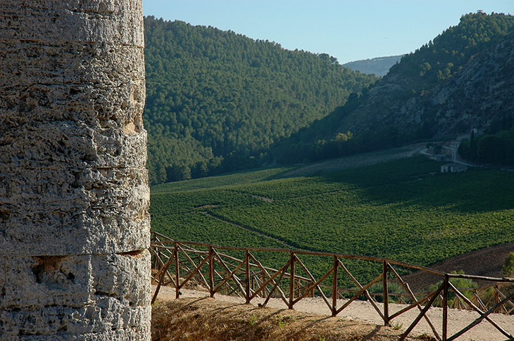 Segesta: Colline