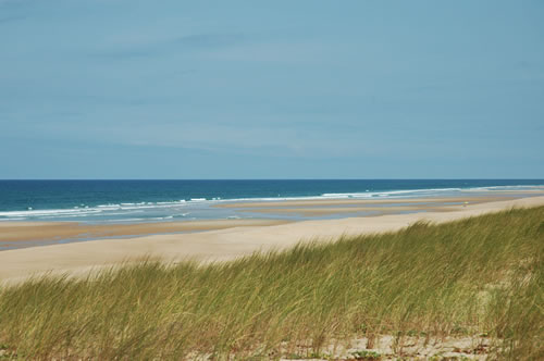 Lège - Cap Ferret: L'oceano