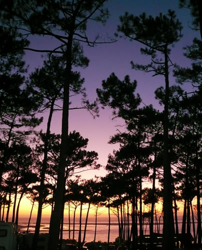 Dune du Pilat: Tramonto in pineta