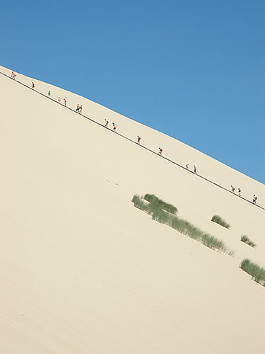 Dune du Pilat: La salita