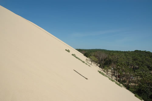 Dune du Pilat: La duna (est)