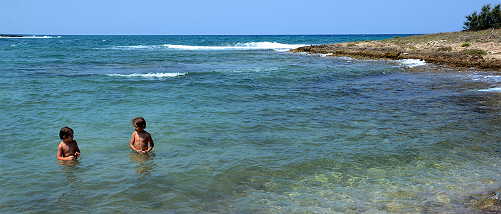 Riserva naturale di Torre Guaceto: Mare