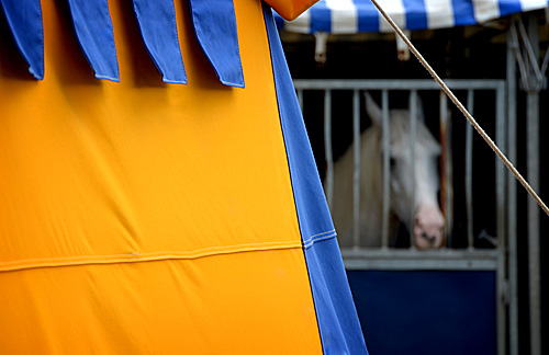 Château de Saumur: Circo equestre