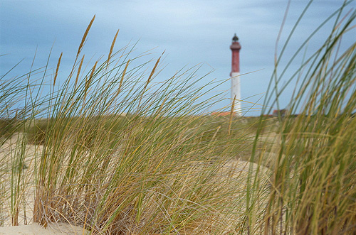 Les Mathes: La spiaggia