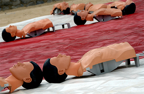 Île de Noirmoutier: Life saving dummies