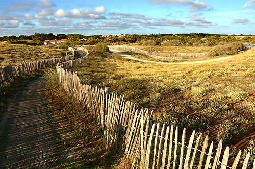 Brétignolles-sur-Mer: Tramonto sulla duna