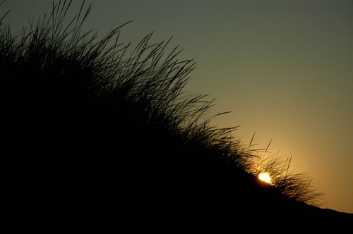 Plage de l'Ostriconi: Tramonto